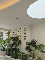 -OAE日式皮肤管理お肌の