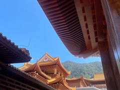 -深圳仙湖植物园