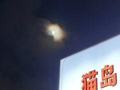 -猫岛主趣味餐厅(鼓浪屿店)