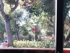 -公园茶楼粤式点心