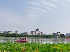 -莲花池公园