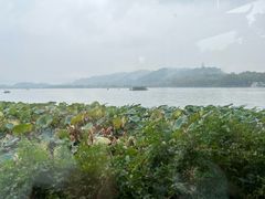 -湖畔居茶楼(湖滨店)