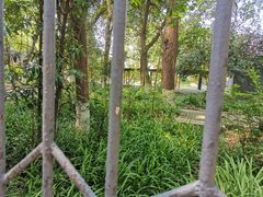 -西南政法大学(沙坪坝校区)