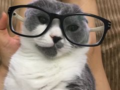 -瑞派福兴宠物医院犬猫全科·骨科·中西医结合(河东店)