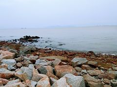 -野狸岛