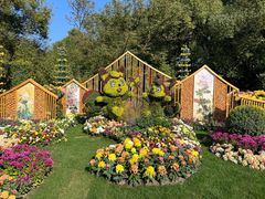 -上海共青森林公园