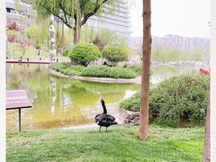 -西安曲江寒窑遗址公园