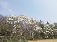 -济南大明湖景区