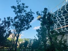 -首都医科大学附属北京天坛医院