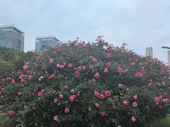 -上海科技馆(地铁站)