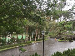 -九龙寨城公园