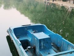 -青城公园