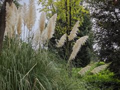-贵阳市花溪国家城市湿地公园