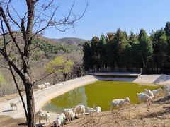 -香山公园