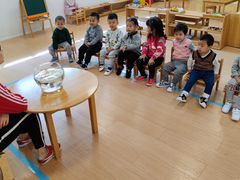 -绿城奇妙园双语日托(华茂悦峰园区)