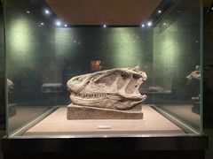 -自贡恐龙博物馆