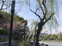 -运河游船(武林门码头)