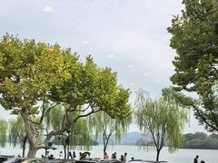 -楼外楼(西湖景区孤山路店)