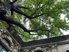 -旅顺博物馆