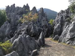 -千岛湖石林
