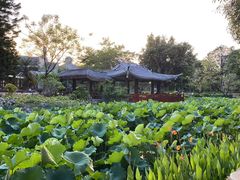 -广西大学(大学东路校区)