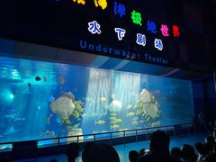 -泉城欧乐堡海洋极地世界