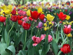 -长春公园(普阳街道)