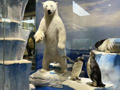 -国家自然博物馆