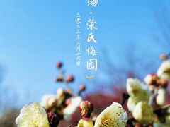 -无锡梅园公园