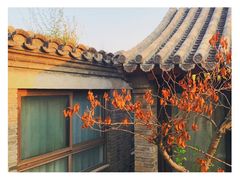 -糖房咖啡(南锣鼓巷店)