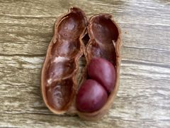 -野火鲜货烧烤(河边小院店)