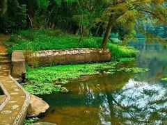 -南宁良凤江国家森林公园