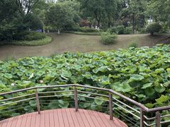 -太子山公园(园东路)