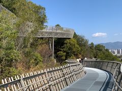 -福道
