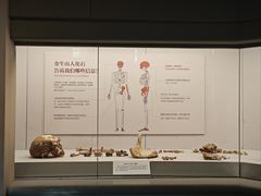 -北京大学赛克勒考古与艺术博物馆