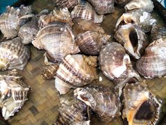 -港畔赶海蒸汽海鲜烧烤自助(仙螺岛店)