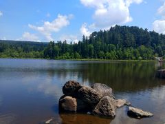 -五营红松林海景区