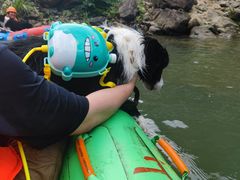 -安吉龙王山峡谷漂流