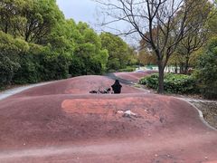 -黄兴公园