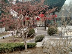 -君庭中餐厅(友谊宾馆店)