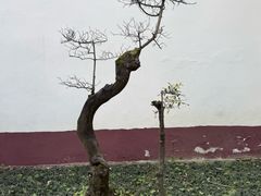 -李白纪念馆