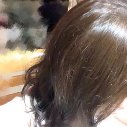 点击看大图 -金棕榈