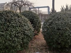 -绿岛公园(滨海新区)