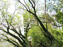 -香港大学