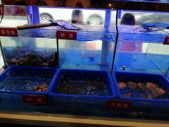 大堂-小龍鳳·港式海鲜打边炉(沙湖路店)