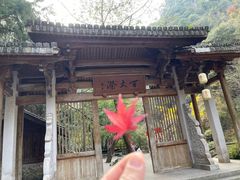 -刘伯温故里景区百丈漈