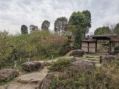 -秀丽东方