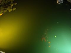 -扬州瘦西湖汇金酒店