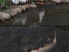 -中国丝绸博物馆