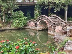 -广西壮族自治区药用植物园